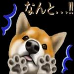 さすが！柴犬（よく使う言葉編２）