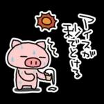 ぶたたの夏（1）🐷