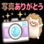  いい夢見てえね〜おやすみ〜💤