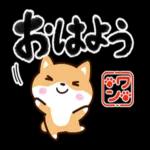 お大事にしてください〜