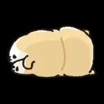 むちころばんばん