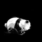 panda123のスタンプ