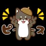 黒豆柴 あずき♡毎日使える 秋冬ver