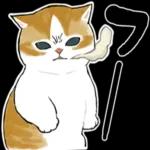 今日は猫カレーの日3