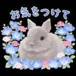 めっちゃ可愛い🫣🫣🫣