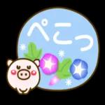0803-wt-jp