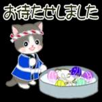 かわいい猫😺が来ますよ！