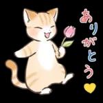 スナネコのサシャ 2