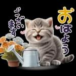 ねこちぃずNEO★やさしい秋スタンプ