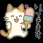 猫ちゃんとスイーツと夏