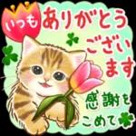 ちっちゃい猫のスタンプ 寧なことば ちっちゃい猫のスタンプ ちっちゃい猫のスタンプ 丁寧なことば 