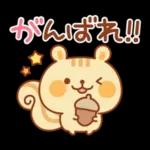 シマリスのマリーちゃん