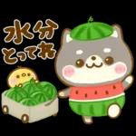 熱中症に気をつけて🫠🫠🫠