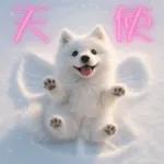 白いモフモフ～その名はサモエド！２