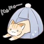 スナネコのサシャ 2