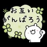 ガーリーくまさんの春