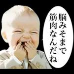 煽り性能MAXの赤ちゃん３【面白かわいい】