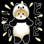 こちらこそ
です。