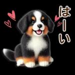 会話がはずむ日常メッセージ＊