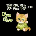 冬のキラキラおめめの子猫ちゃん