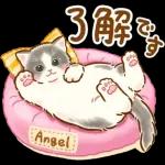 お久しぶり	会いたくてたまらない💗💗💗