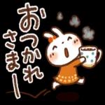 毎日便利✨白うさぎさん_-_