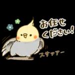 敬語が話せる！もふもふインコ