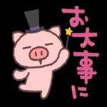 いま、大丈夫ですか。