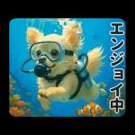 ずっと使える♡夏のチワワ