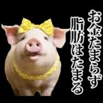 リアル☆メスブタ 3