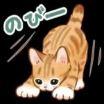 夏☆猫たちのスタンプ_-_