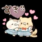 となりのにゃんこ　summer2022