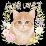 ようこそお参りします