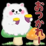 ポメラニアン❤️ぽちゃん「秋」