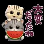 ねこちぃず♡夏スタンプ