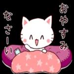 かわいい猫😺が来ますよ！