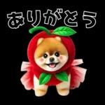 ずっと使える♡めちゃかわスイーツポメ