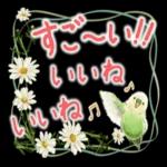 良い一日をなりますように！