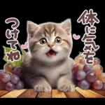 ねこちぃずNEO★やさしい秋スタンプ