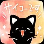 かわいい黒猫ちゃんの一日