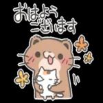 ニャー星人の楽園🤩🤩