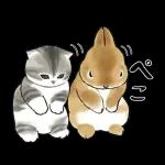 ずっとあなたを守ります😊😊😊