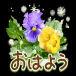 お疲れ様でした🤭