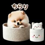 癒しポメラニアンの春のあいさつ