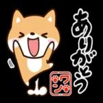 なるほど〜気にしないで〜