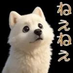 白いモフモフ～その名はサモエド！２