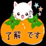 ねこの新年あいさつ🐱