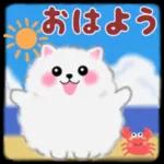 おはよう ございます