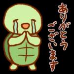 喜びセット🎁