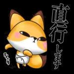 🌼春の息吹パッケージ